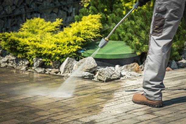 Best Rust Removal  in Homosassa Springs, FL