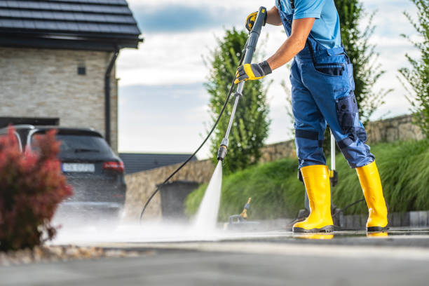 Best Dumpster Area Cleaning  in Homosassa Springs, FL